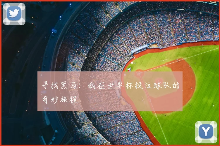 寻找黑马：我在世界杯投注球队的奇妙旅程