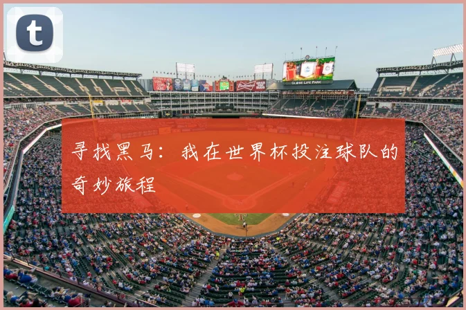 寻找黑马：我在世界杯投注球队的奇妙旅程