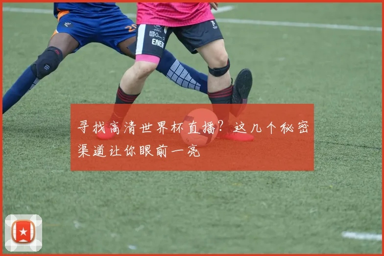 寻找高清世界杯直播?这几个秘密渠道让你眼前一亮