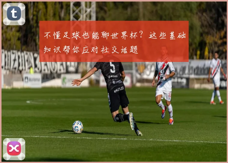 不懂足球也能聊世界杯?这些基础知识帮你应对社交话题