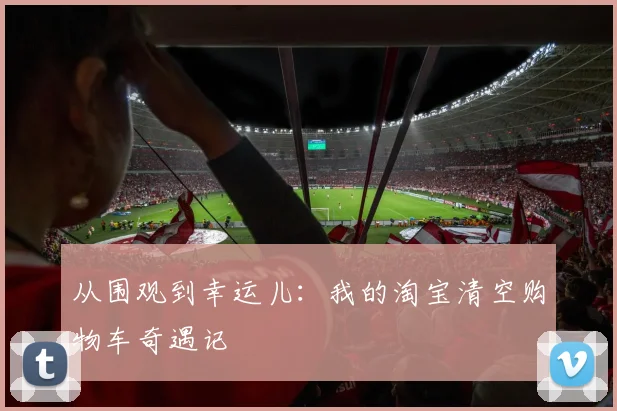 从围观到幸运儿：我的淘宝清空购物车奇遇记