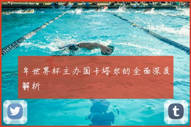 年世界杯主办国卡塔尔的全面深度解析