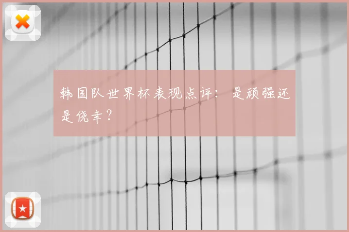 韩国队世界杯表现点评：是顽强还是侥幸？