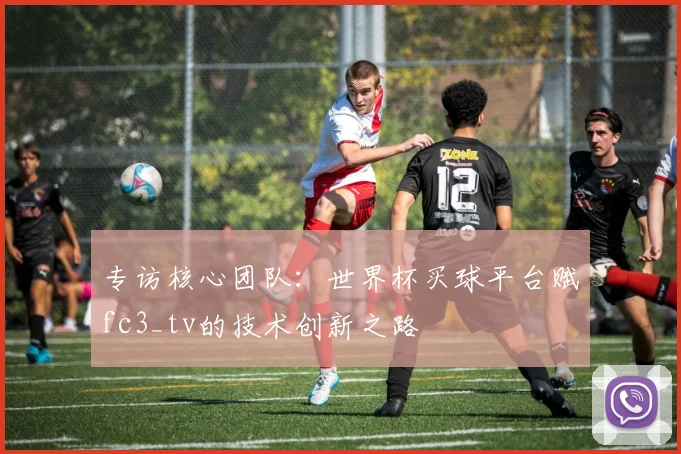 专访核心团队：世界杯买球平台赋fc3_tv的技术创新之路