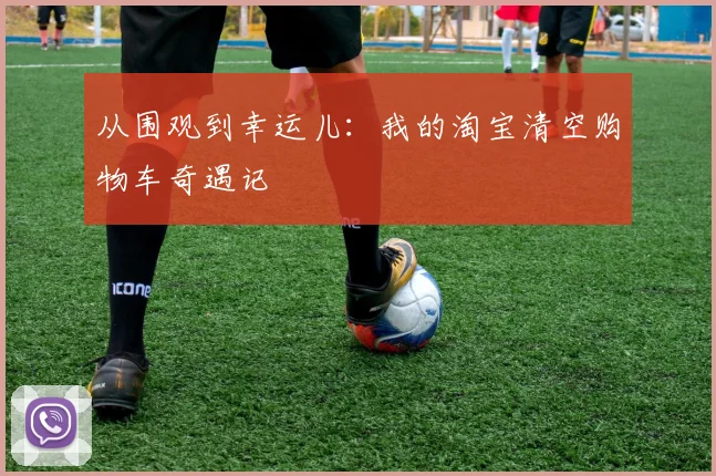 从围观到幸运儿：我的淘宝清空购物车奇遇记