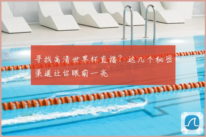 寻找高清世界杯直播?这几个秘密渠道让你眼前一亮