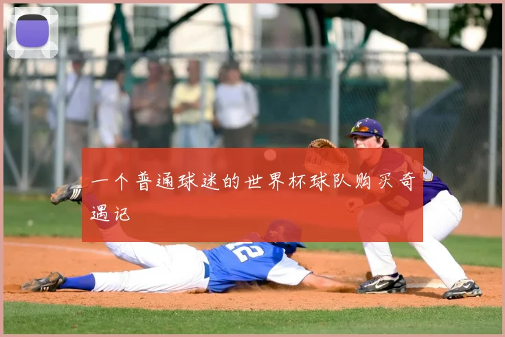 一个普通球迷的世界杯球队购买奇遇记