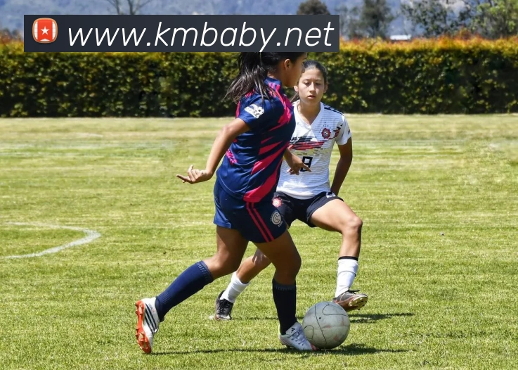 易倍emc官网网页版发展历程